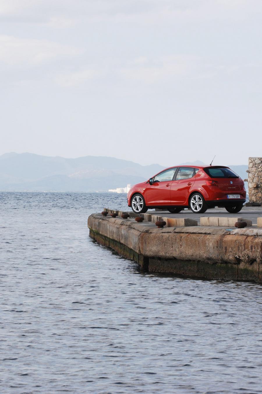  Seat Ibiza 2008 года  (фото 164 из 287)